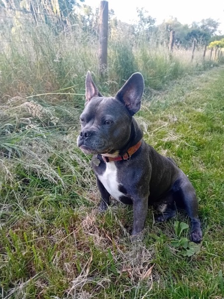 The support thread for anyone trying to lead an alcohol free life.