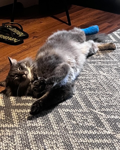 Any experiences with leg amputation?