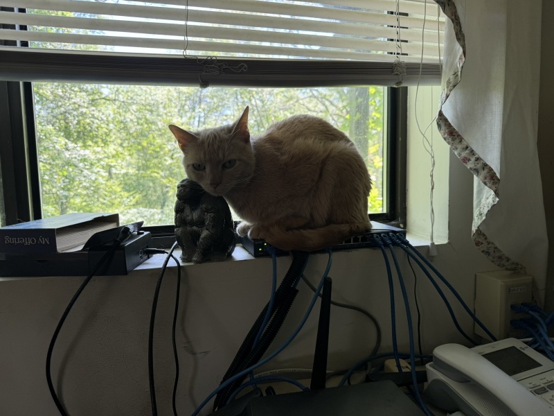 Come and tell me your dull and unexciting news 30: Calmly through the day