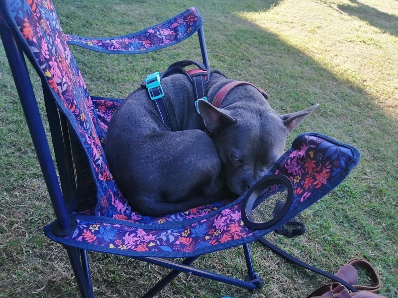 The support thread for anyone trying to lead an alcohol free life.