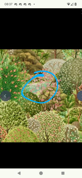 What paint colour would go with this wallpaper?