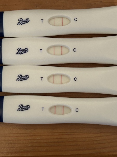 Due April 2025 ✨
