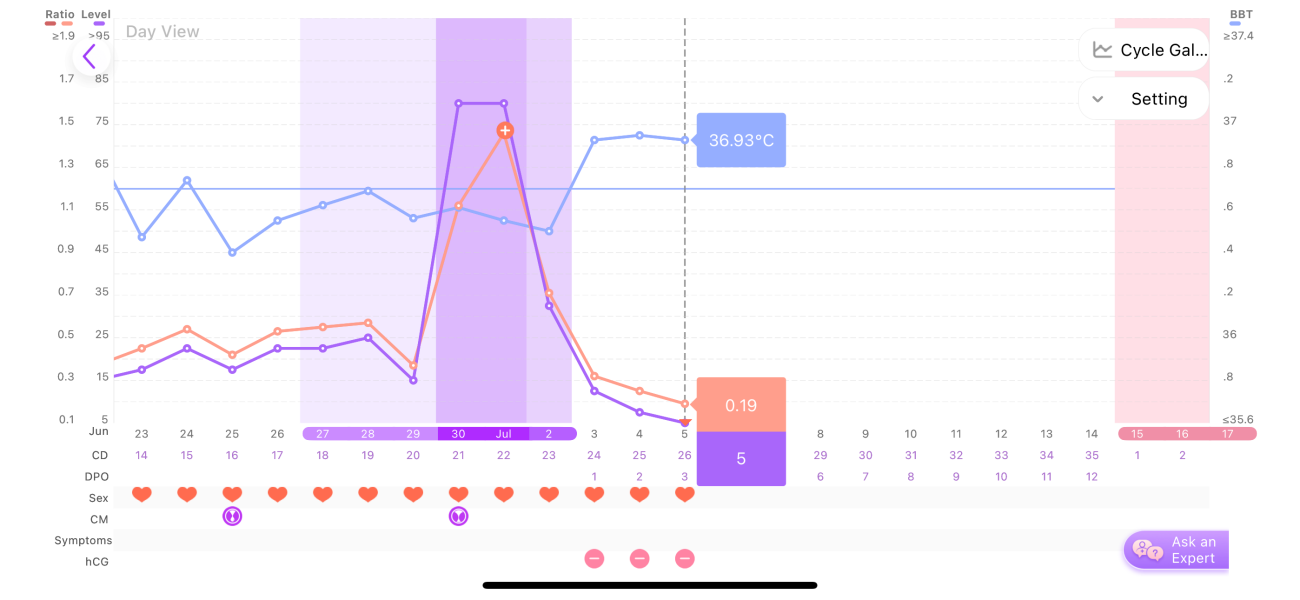TTC after chemical pregnancy