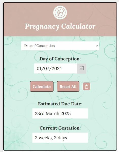 TTC after chemical pregnancy