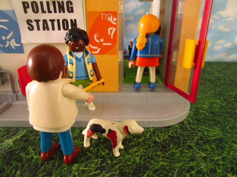 It's general election day for the Playmobil people in our house.