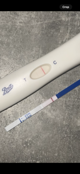 Due April 2025 ✨