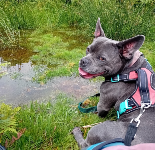 The support thread for anyone trying to lead an alcohol free life.