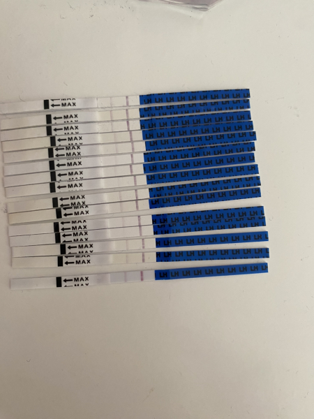 Am I ovulating soon? Pictures