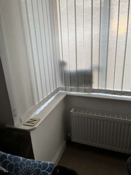 My cat ‘hiding’…. Anyone else have this??