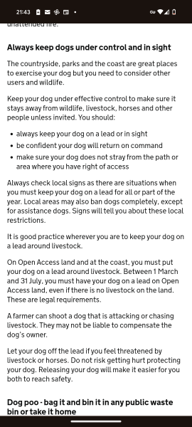 Bright white fluffy dog- how do I stop frightening horses?