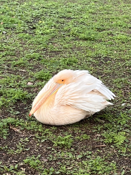 Seen wonderful karma at work today
