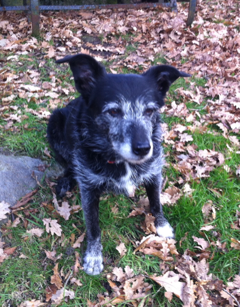 To ask if you have found your soulmate?