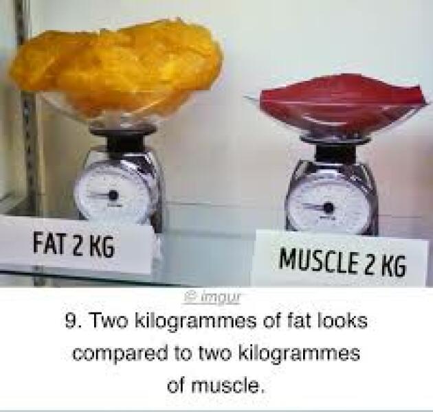 Why have  I lost weight but NOT lost weight?!