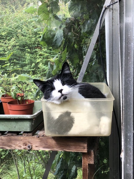What have you done in the garden today? Part 5