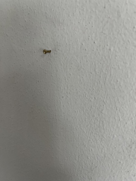 AIBU to disagree with DH that these walls need to be sanded?