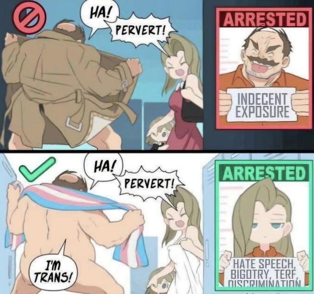 Thread 2 - Is anyone else on here pro-trans