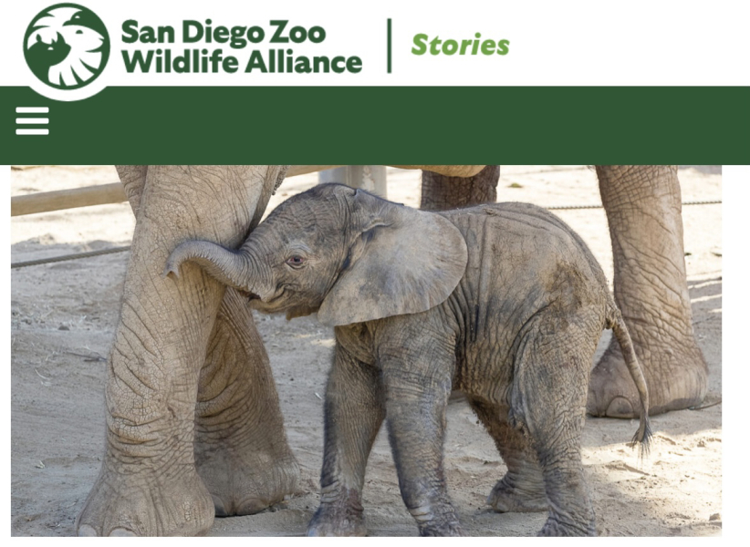 Thread 2. Starmer, return of the Labour government