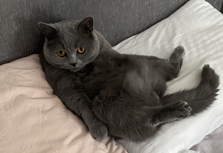 Thread 14 - TalkLair: “What The Hell Are We Supposed To Use, Man? Harsh Language?”