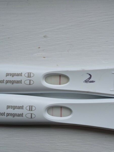 Line progression 11 dpo to 13dpo