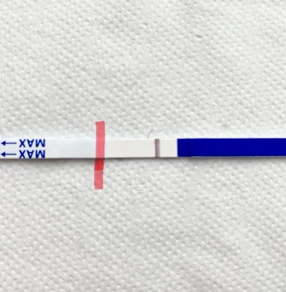 Can someone please have a look at this test for me (faint line)