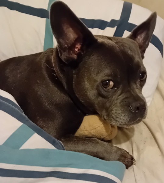 The support thread for anyone trying to lead an alcohol free life.