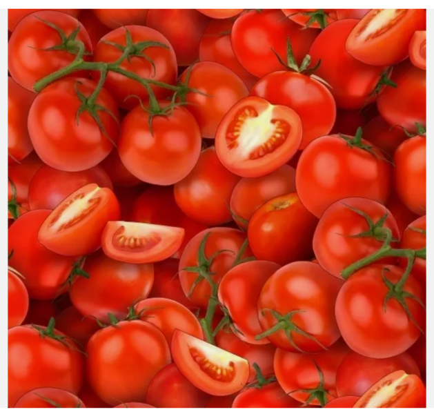 Aston University + gerbil merch thread