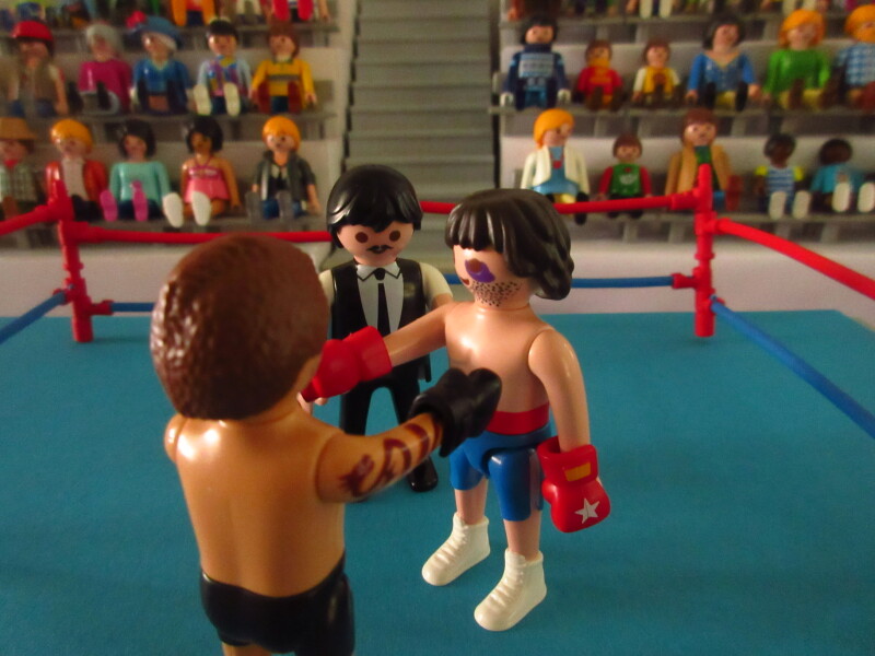 It's time for the Olympic Games for the Playmobil people in our house...