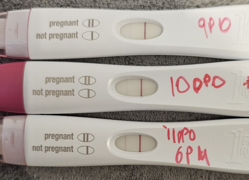 Ovulation day/1DPO buddies?