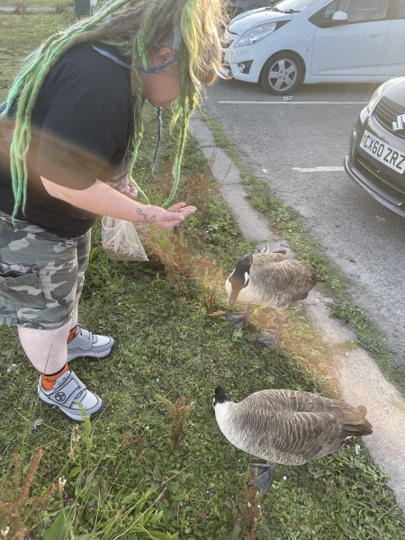 Fat Girl Summer 2 Electric Boogaloo💅☀️