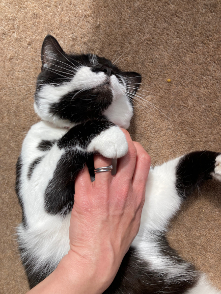 Thread 14 - TalkLair: “What The Hell Are We Supposed To Use, Man? Harsh Language?”