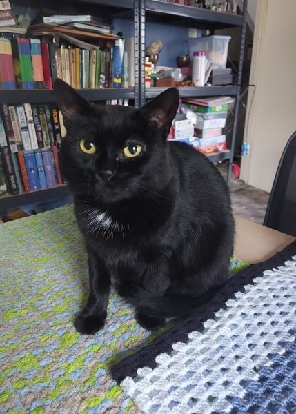 Thread 1 Starmer: A New Hope