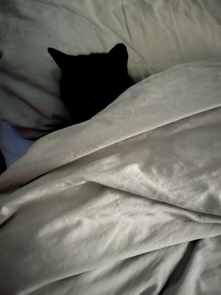 Thread 1 Starmer: A New Hope