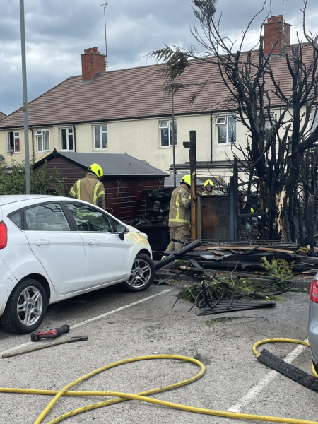 The Great Cancer Recovery part 3