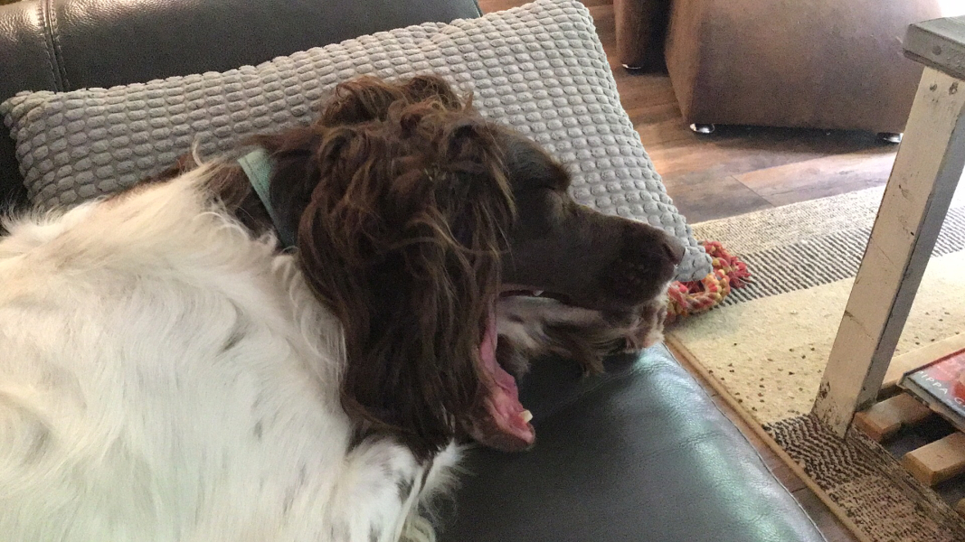 Thread 1 Starmer: A New Hope