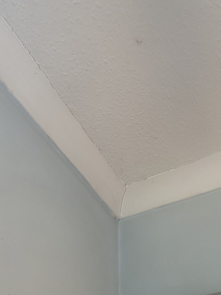 Awful 1970s artex- what do people actually do?
