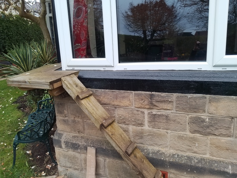 The One where TC moved to Scotland and joined the Excellent Cats