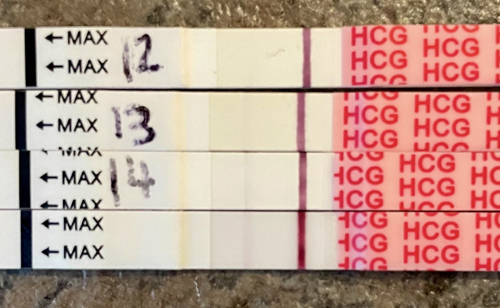 Immune/NK cells pred thread #32