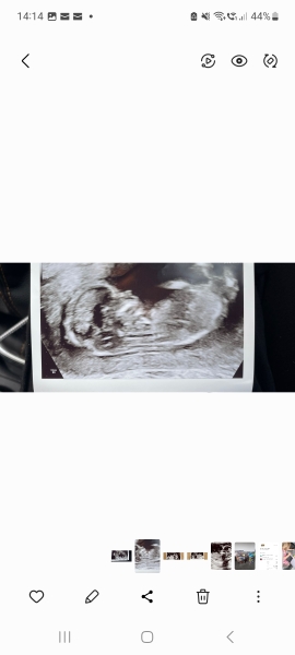 Gender guesses