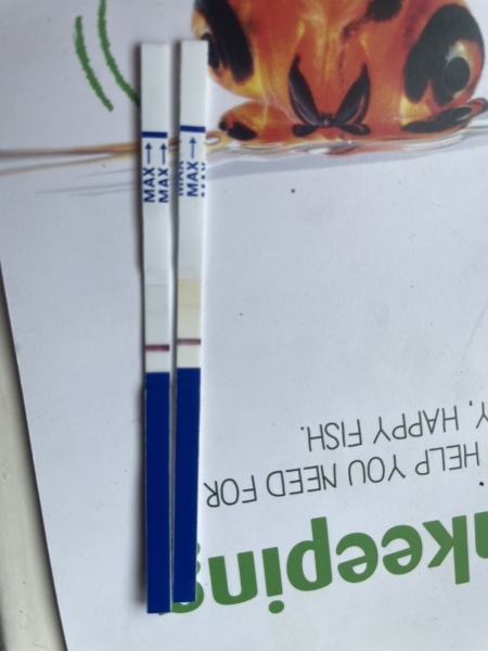 TTC July 2024 ✨♥️