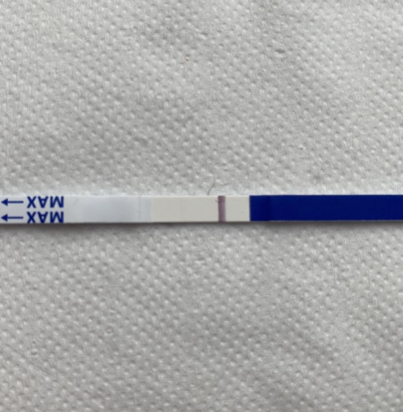 Can someone please have a look at this test for me (faint line)