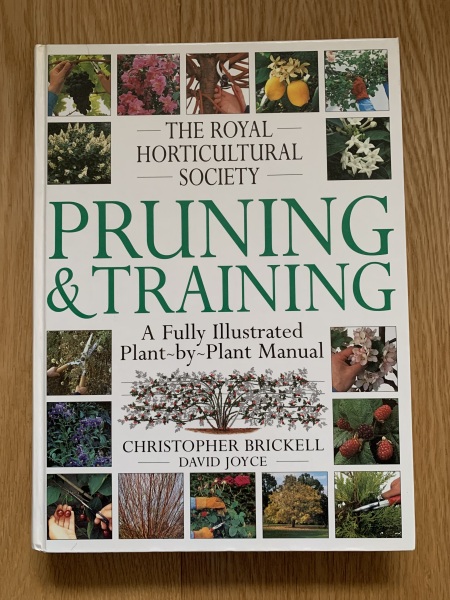 Heavy pruning honeysuckle?