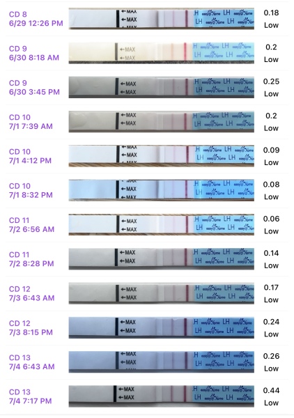 TTC after chemical pregnancy