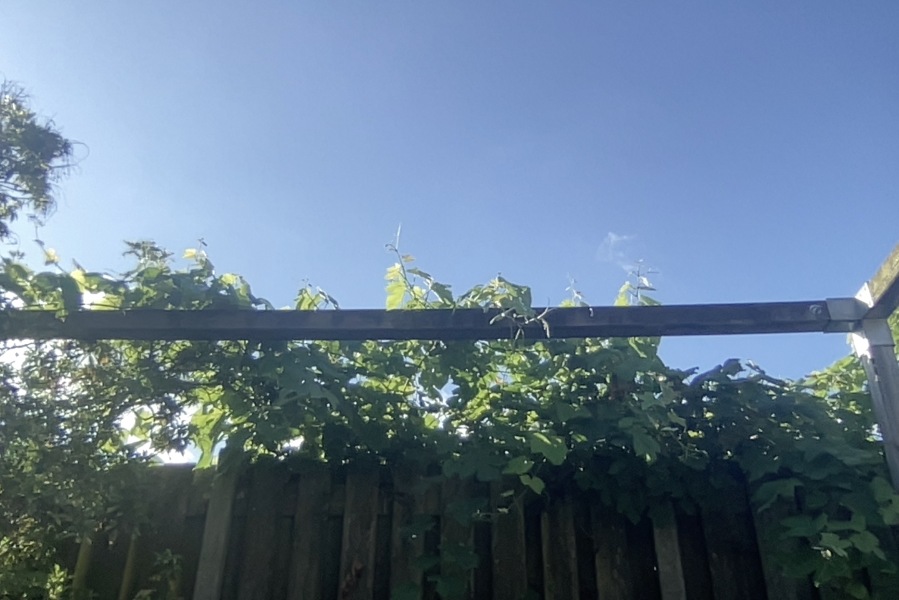 Getting to the Mat in July,however you choose