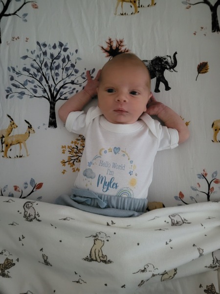 FET/IVF/ICSI Part 2