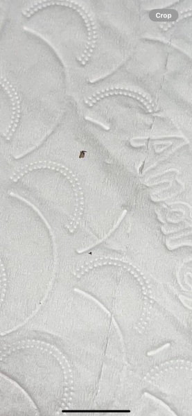 Was this a tick? Pic attached