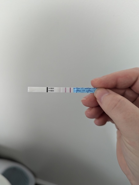 Positive opk twice in a month?!