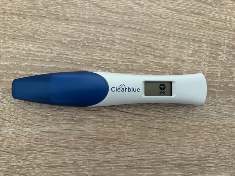 IVF/ICSI Transfer at the end of June