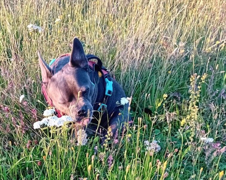 The support thread for anyone trying to lead an alcohol free life.