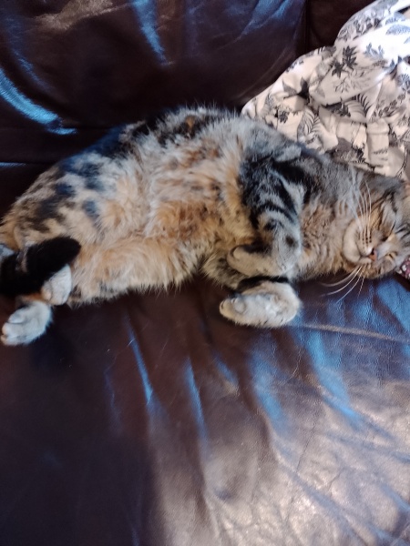 Thread 1 Starmer: A New Hope