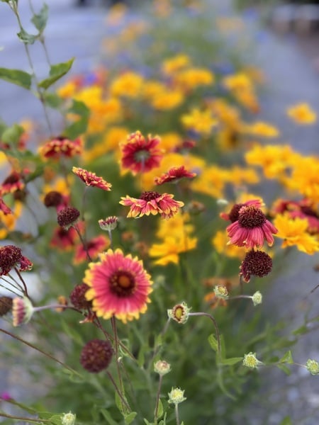 Come and tell me your dull and unexciting news 30: Calmly through the day